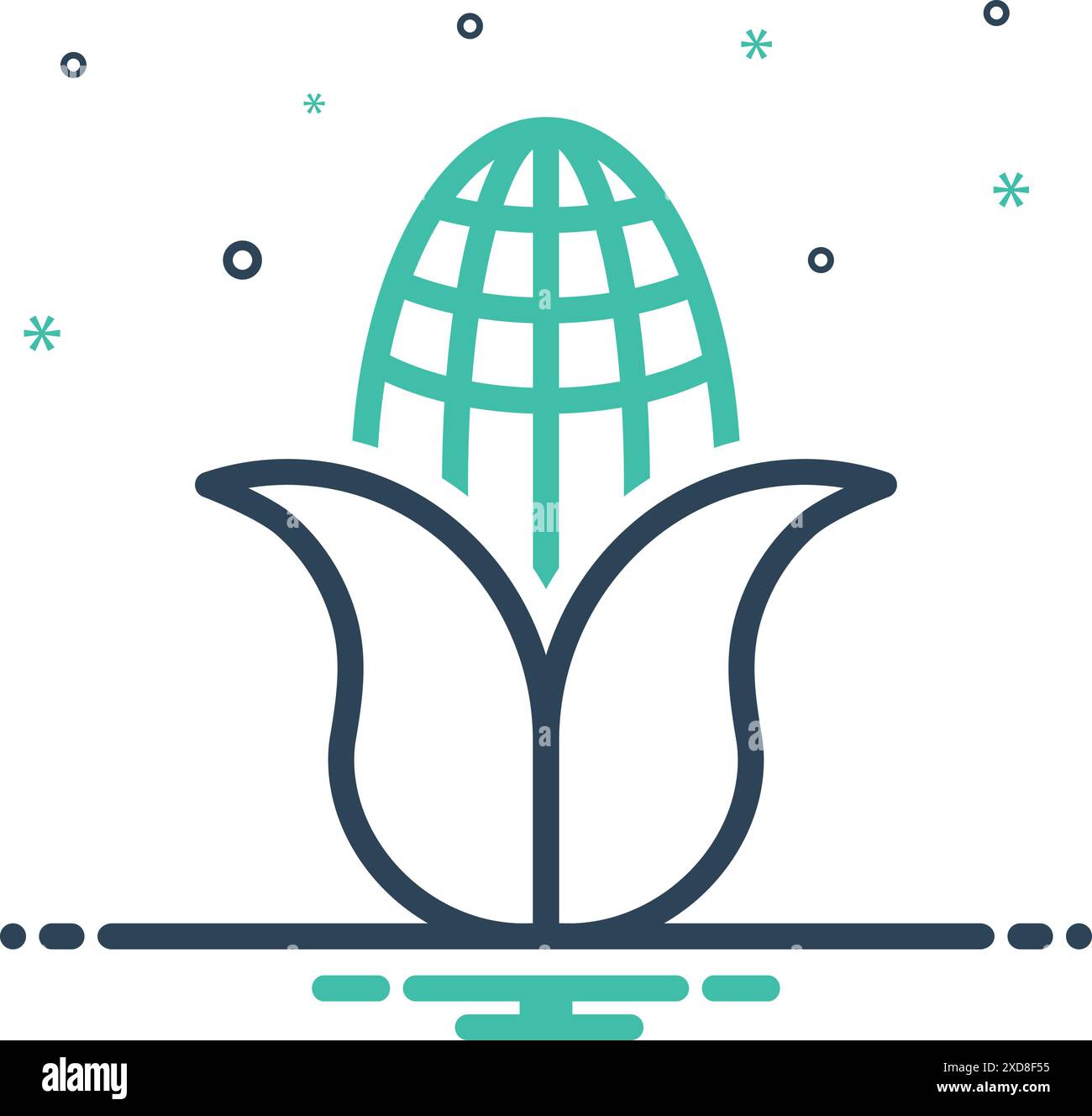 Cultivation of maize Stock Vector Images - Alamy