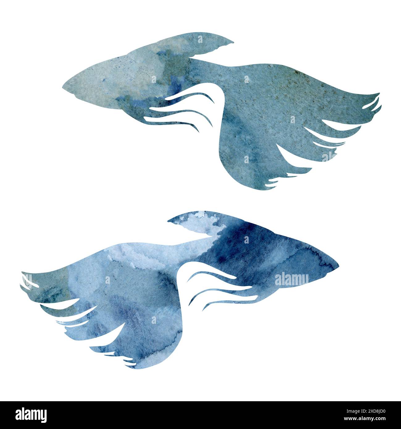 Watercolor and ink hand drawn marine life, sea ocean underwater creatures. fish, shells algae seaweed. Single object illustration, stylized, isolated Stock Photo