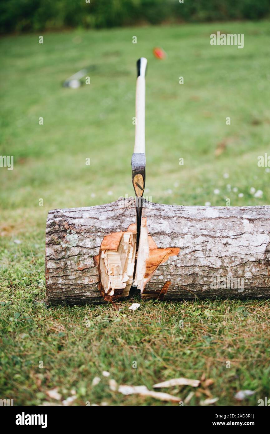 ax imbeded in a large log Stock Photo