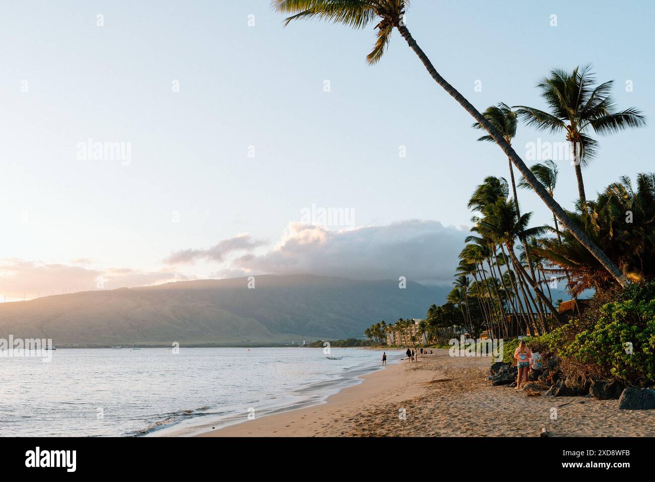 Golden Hour on Maui Beach with Palm Trees and Mountains Stock Photo