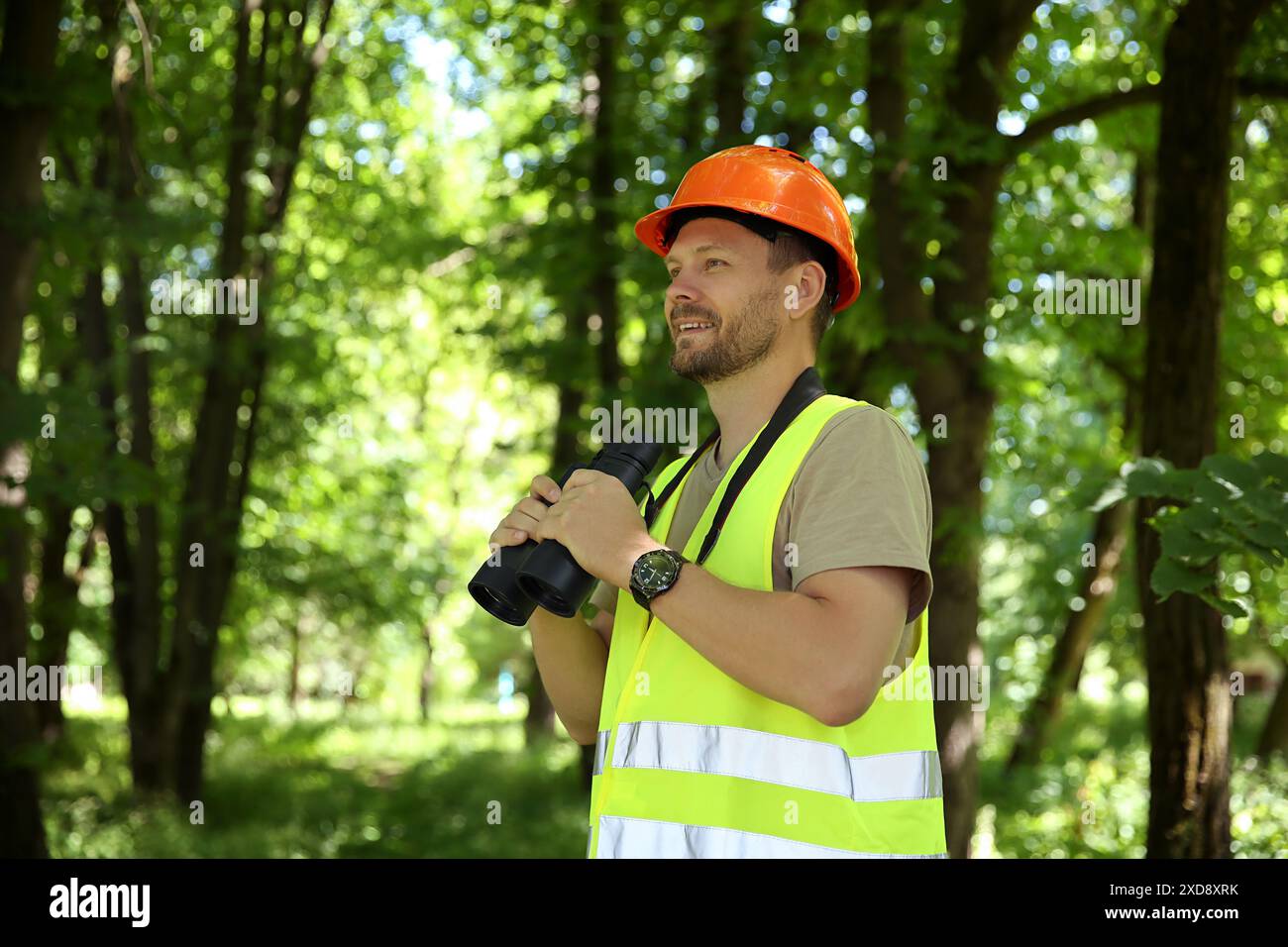 Forester with binoculars examining plants in forest Stock Photo