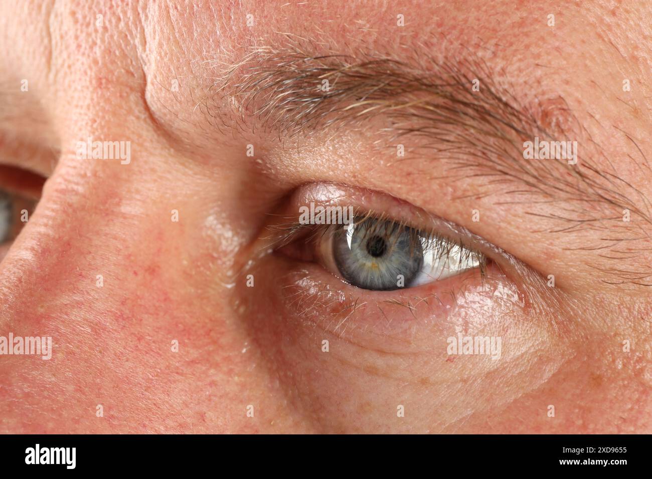 Macro photo of man with beautiful blue eyes Stock Photo - Alamy