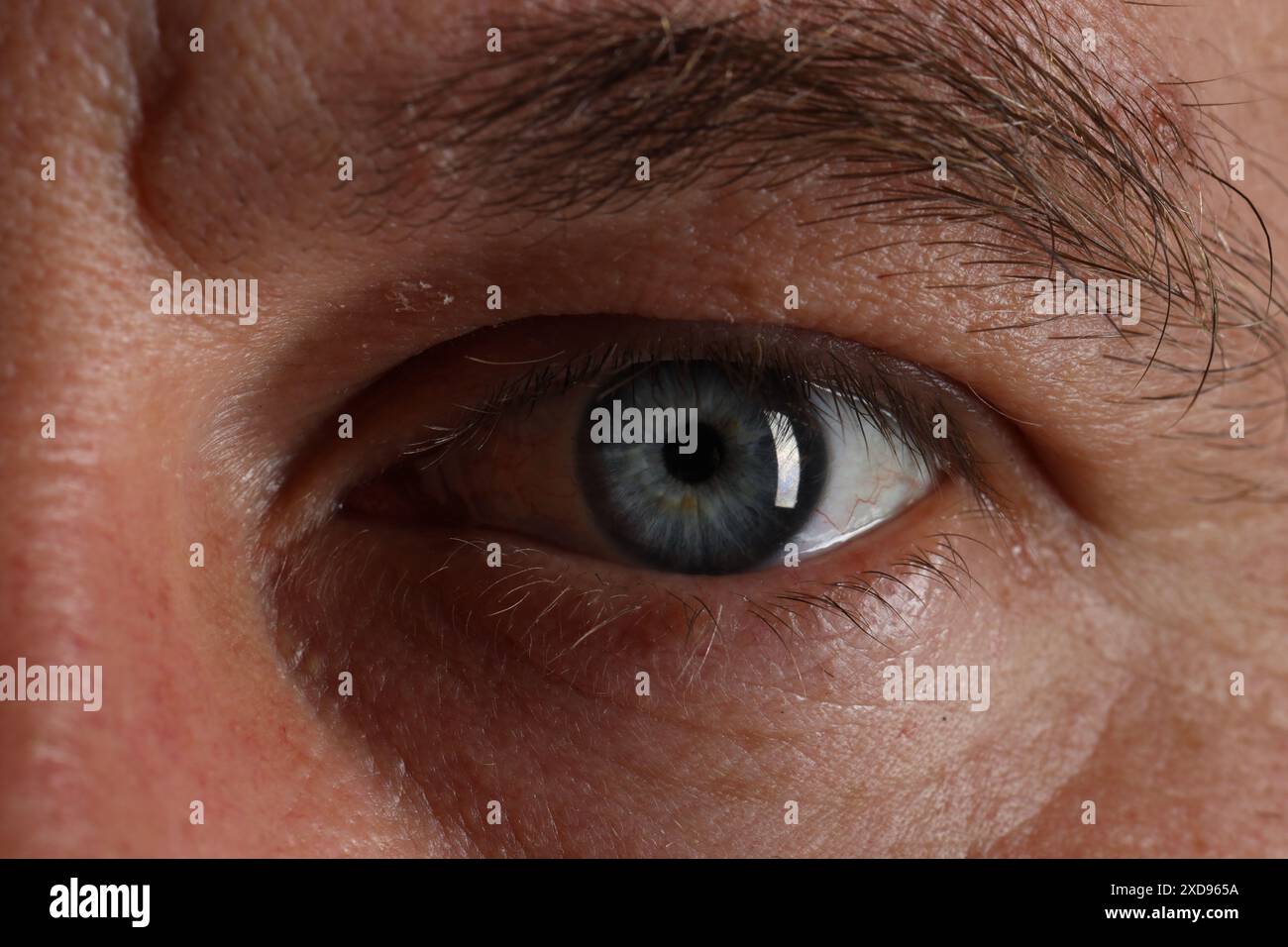 Macro photo of man with beautiful blue eyes Stock Photo - Alamy