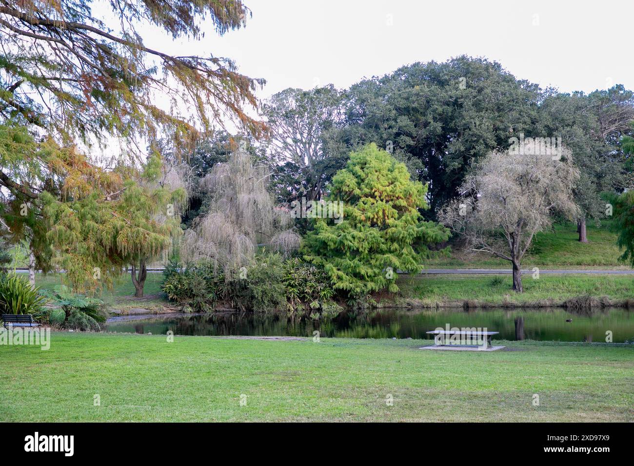 Centennial Park parklands in Sydney eastern suburbs on a winters day in Foto & Idee Centennial Park parklands in Sydney eastern suburbs on a winters day in Motiv
