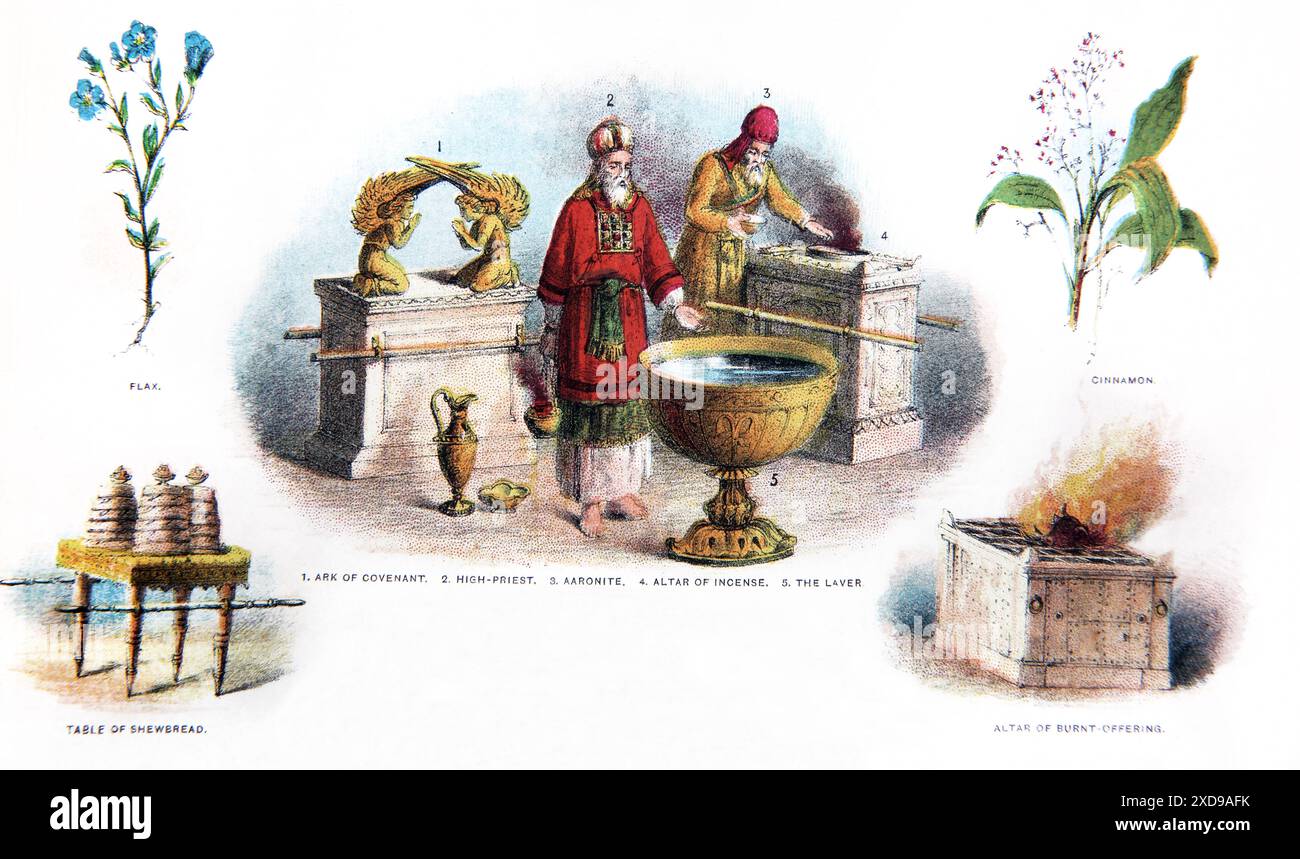 Page from A Holy Bible Depicting the High Priest with an Aaronite, The Ark of the Covenant, The Laver, Altar of incense, Cinnamon, Flax, Table of Shew Stock Photo