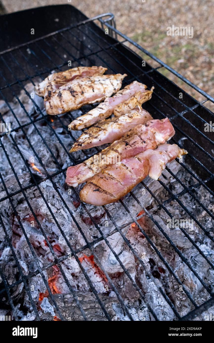 Grilled meat barbecue with chicken at Les Alleuds in Anjou in the Maine ...