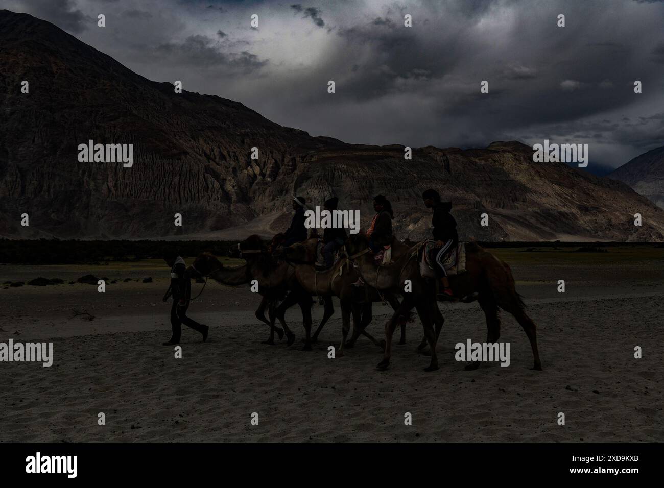 Nubra, Leh, Ladakh, India. 21st June, 2024. Visitors ride on Double ...