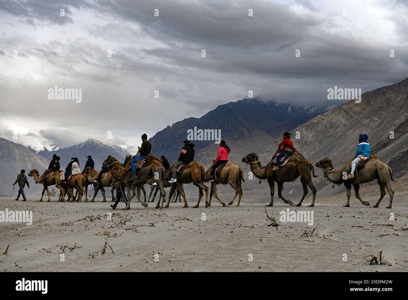 Nubra, Leh, Ladakh, India. 21st June, 2024. Visitors ride on Double ...