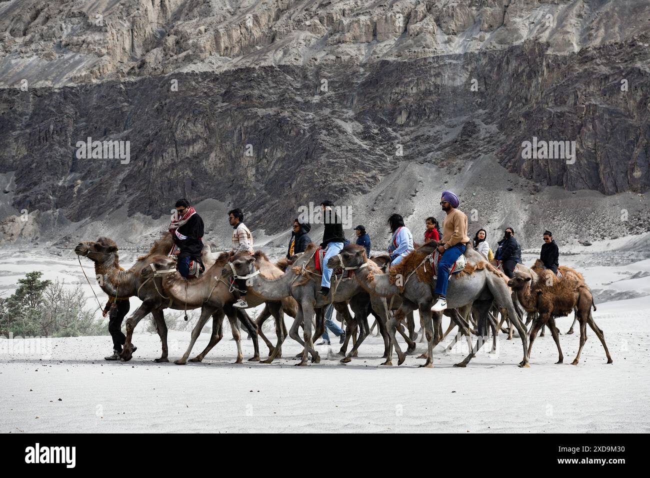 Nubra, Leh, Ladakh, India. 21st June, 2024. Visitors ride on Double ...