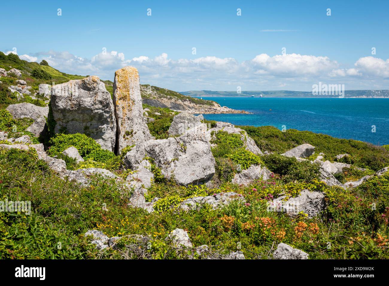 View in eastern Portland, Dorset, UK, 2024 Stock Photo