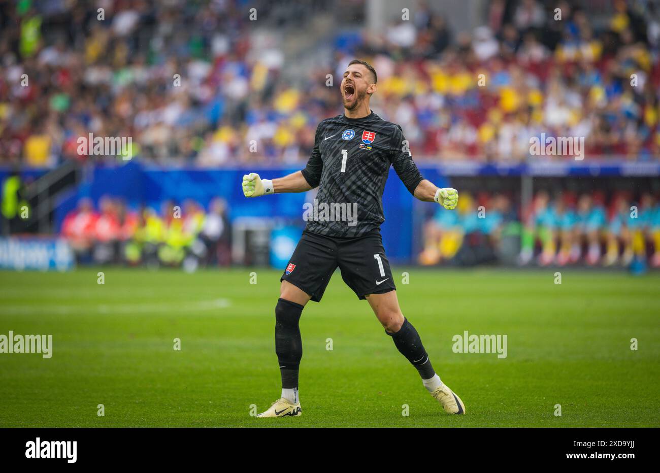 Duesseldorf, Germany. 21th Jun 2024.  Goal celebration Martin Dubravka (Slovakia)  Slovakia - Ukraine Slowakei - Ukraine 21.06.2024   Credit: Moritz Muller/Alamy Live News Stock Photo