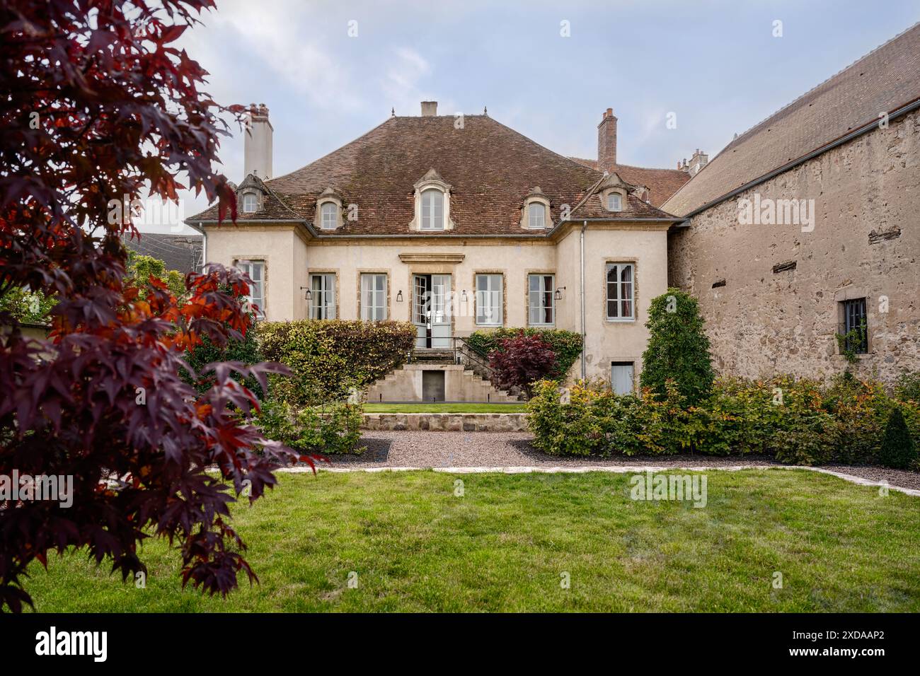 Maple tree in spacious walled garden of renovated stone-built hotel particulier dating from 1770 in Saulieu, Burgundy, France. Stock Photo