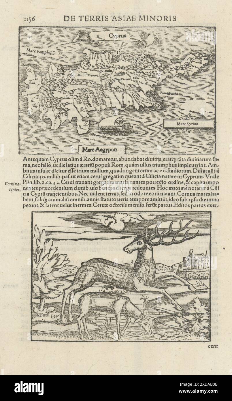 Map of Cyprus by Sebastian Munster 1572 old antique vintage plan chart