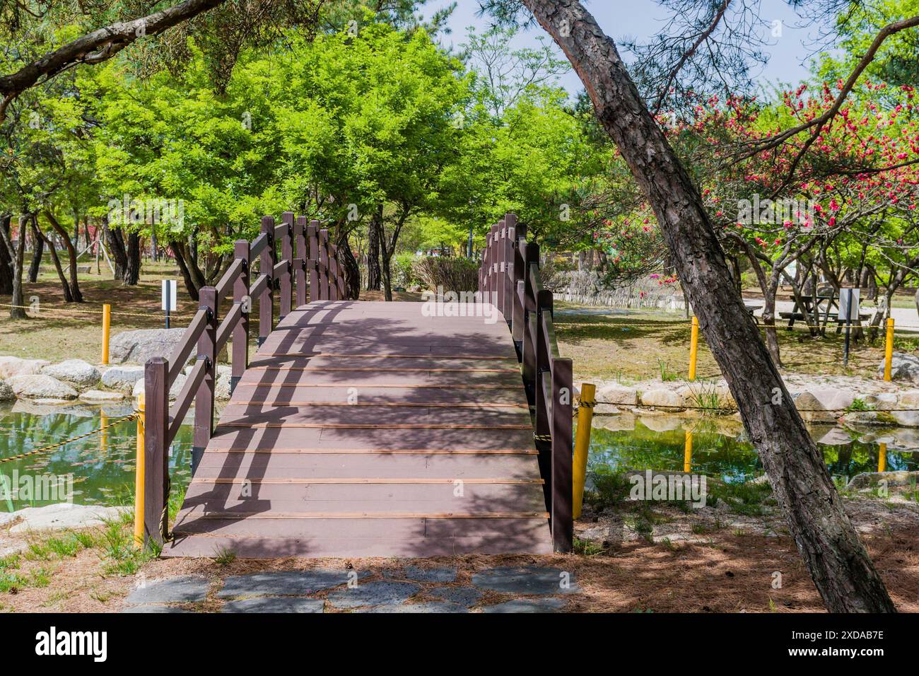 Bridge surrounded trees leading hi-res stock photography and images - Alamy