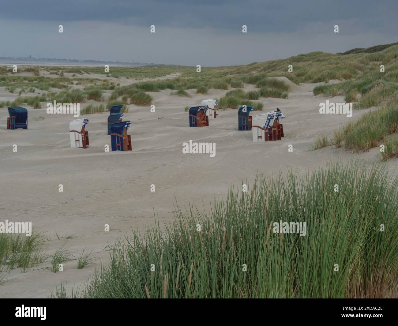 Grassy dunes and scattered beach chairs on a cloudy beach, Juist, North ...