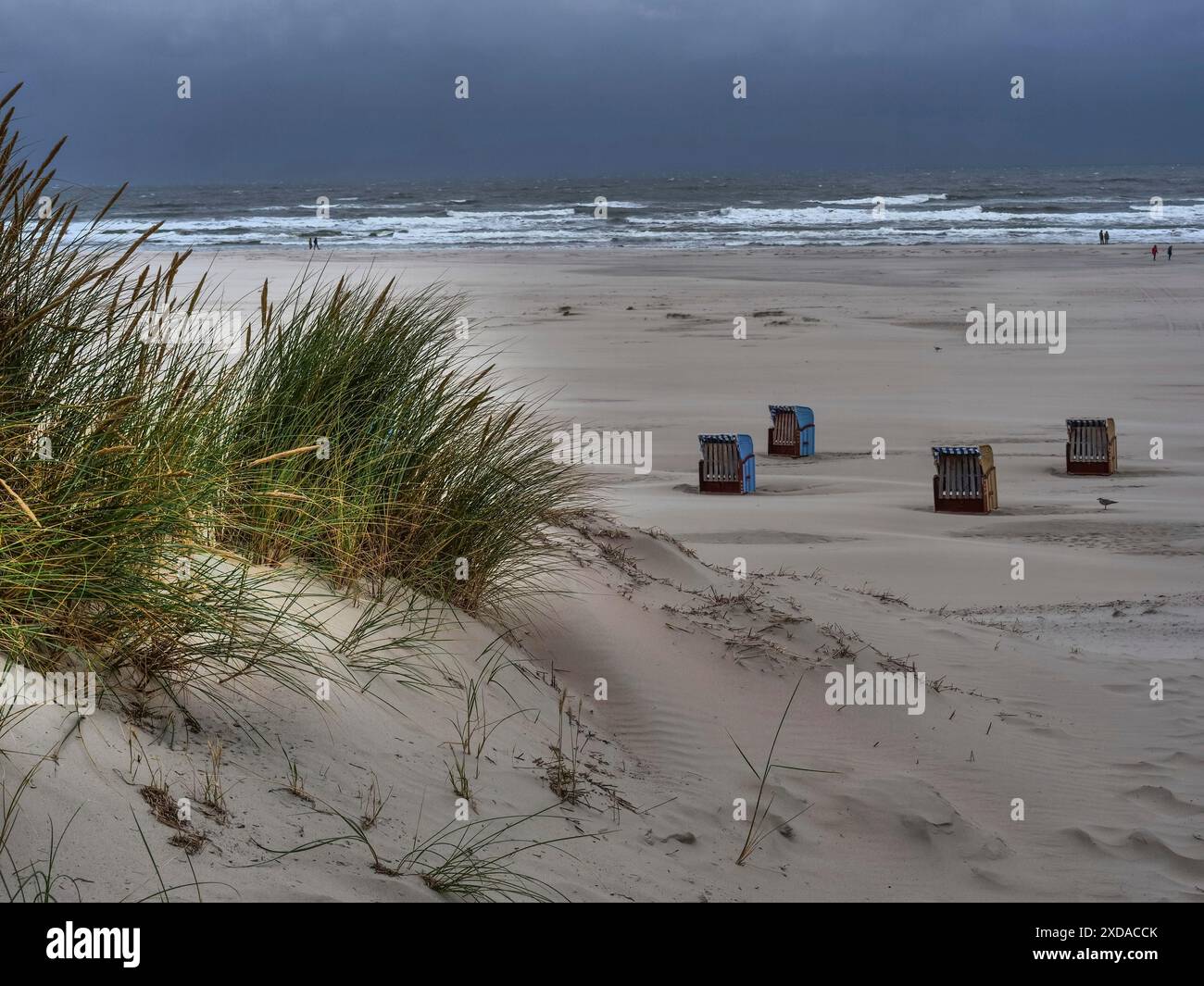 Landscape with dunes and sea grass, some beach chairs scattered on the ...