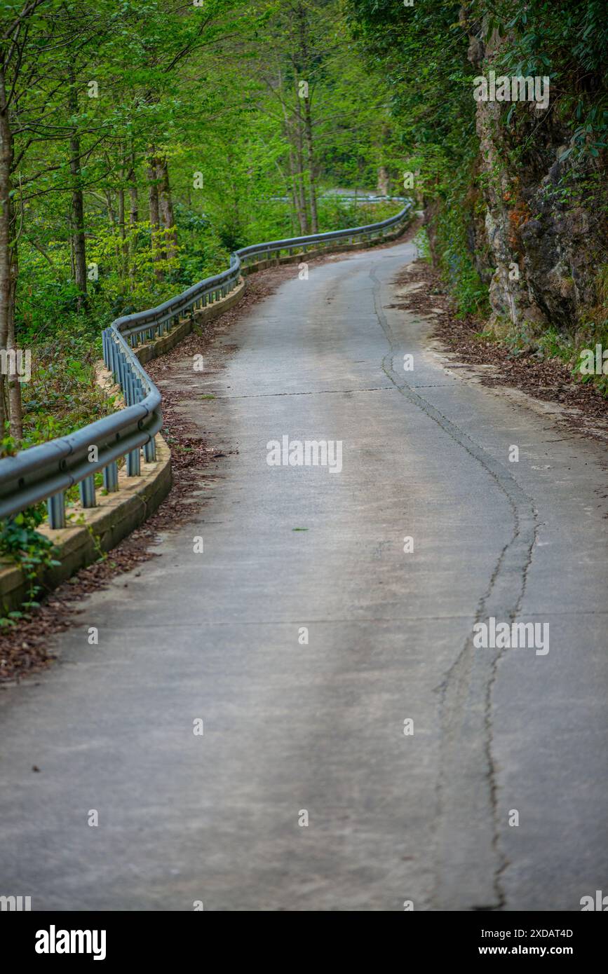 A beautiful road winds through dense nature, surrounded by lush ...