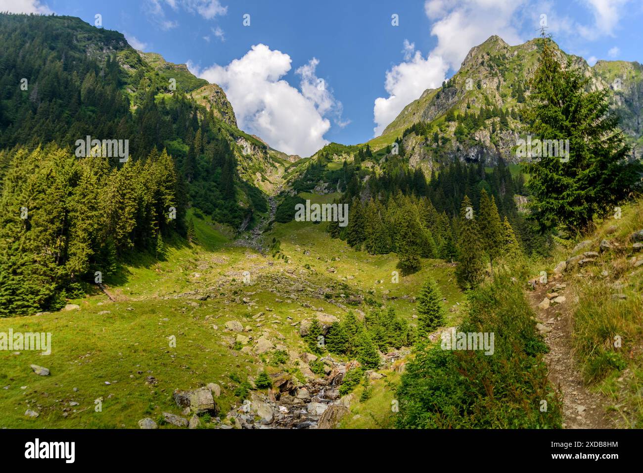 Serene nature setting hi-res stock photography and images - Alamy