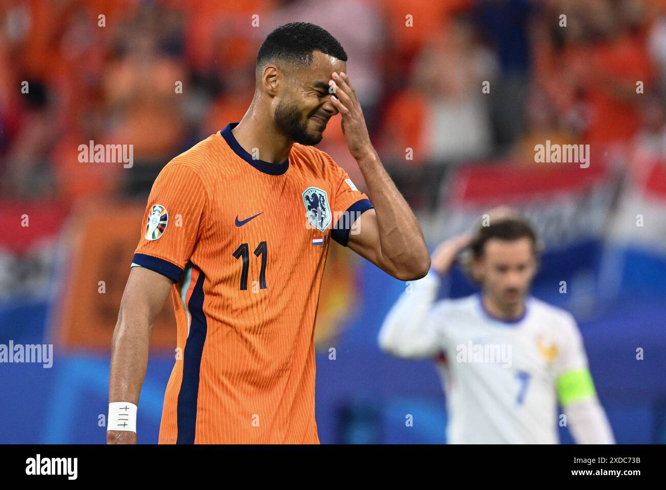 OFFICIAL GAKPO #11 Netherlands Away EURO 2024 PRINT