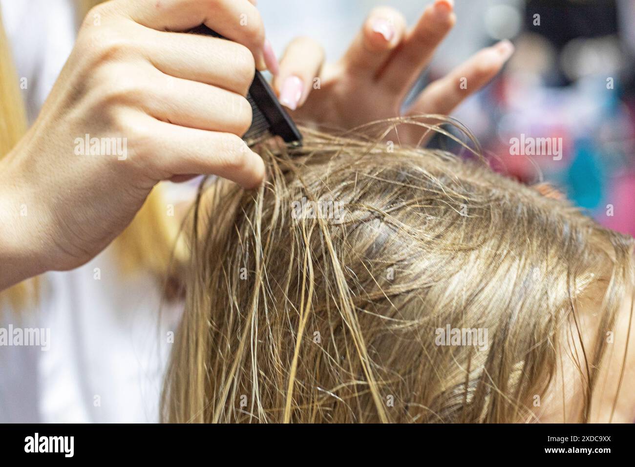Sectioned hair hi-res stock photography and images - Alamy