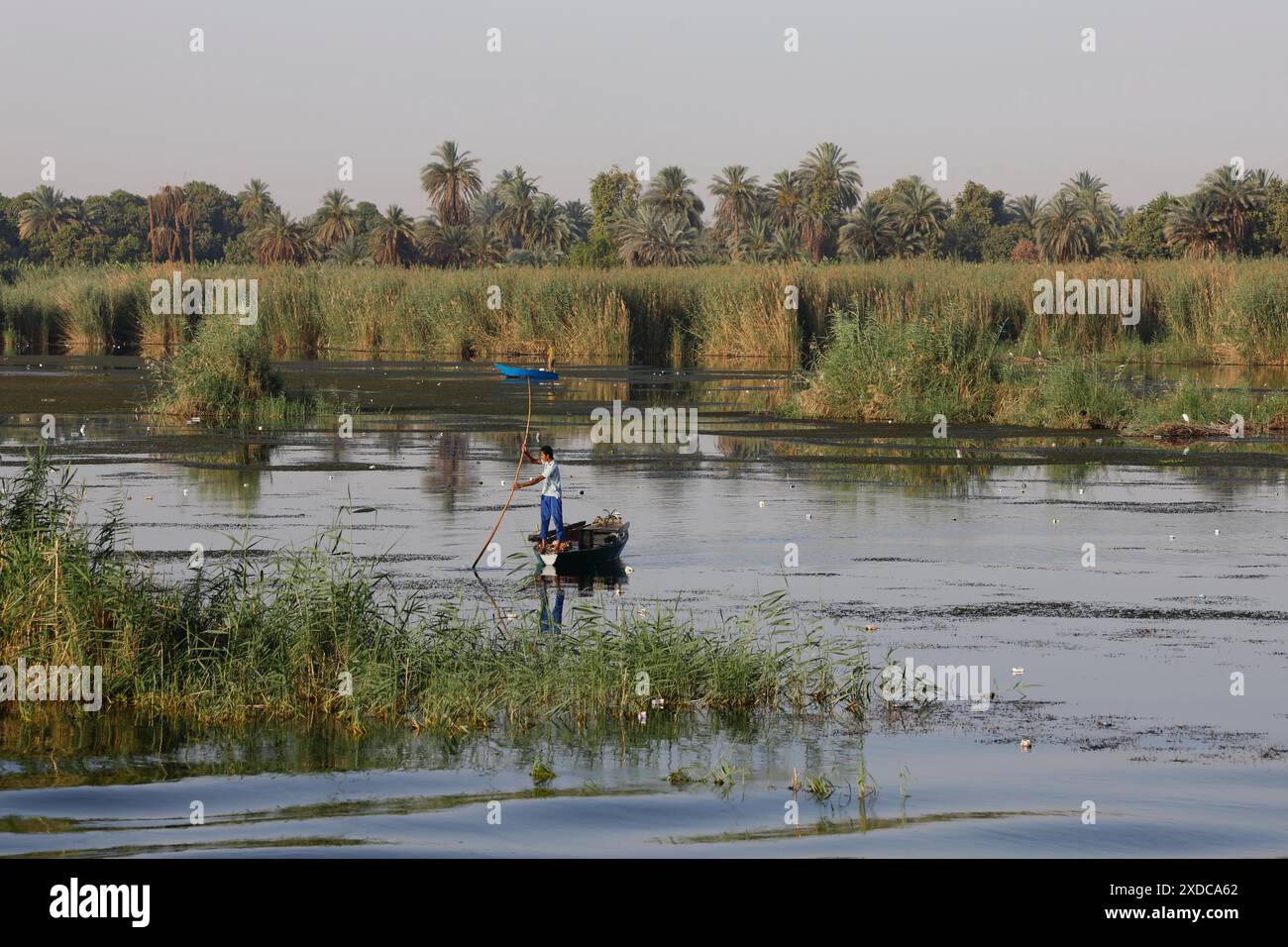 Two lone Egyptian fishermen punt their small wooden boats through the reeds in the shallow waters of the Nile river in the early morning light. Stock Photo