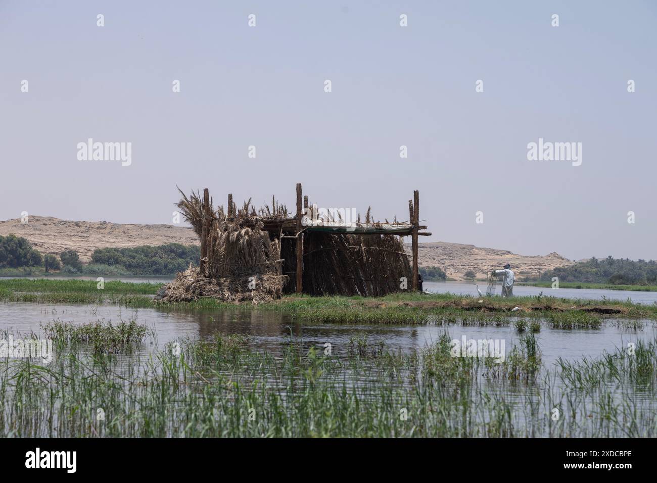 An Egyptian fisherman on a reed island in the river Nile pulls up his ...