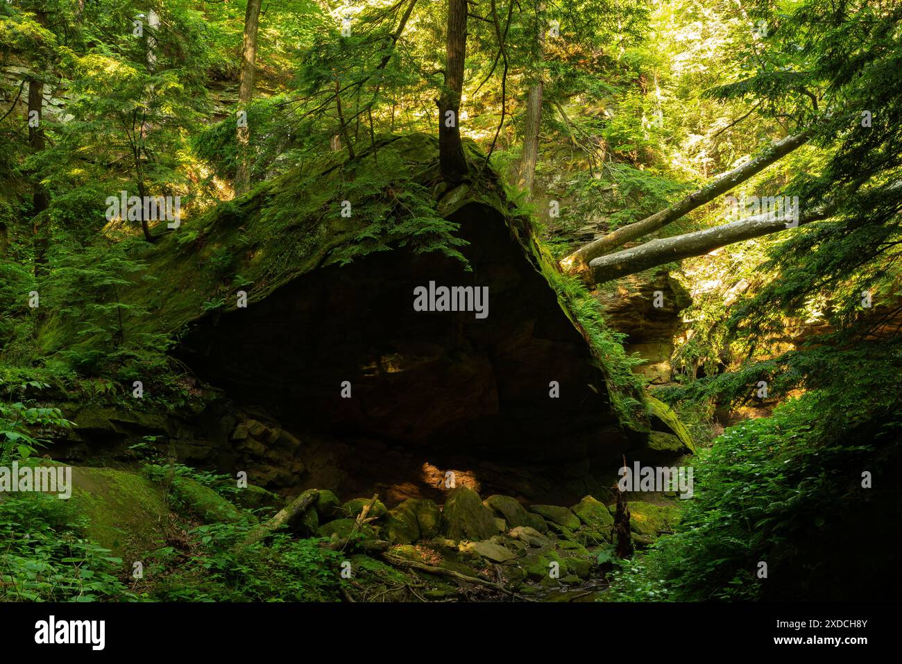 Beautiful landscape along Trail - Beautiful Landscape Along Trail 3 At Turkey Run State Park In Indiana Usa 2XDCH8Y 
