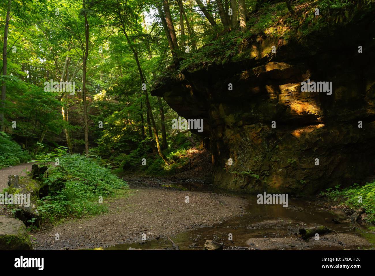 Beautiful landscape along Trail - Beautiful Landscape Along Trail 3 At Turkey Run State Park In Indiana Usa 2XDCHD6 