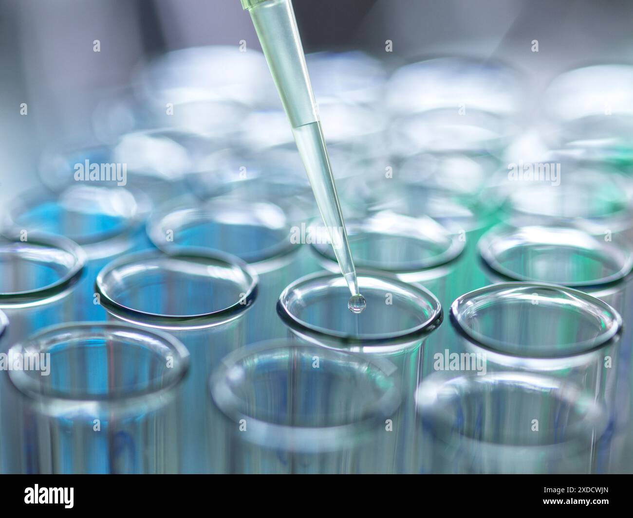 Scientist extracting samples using a pipette for analytical testing in the lab. Stock Photo