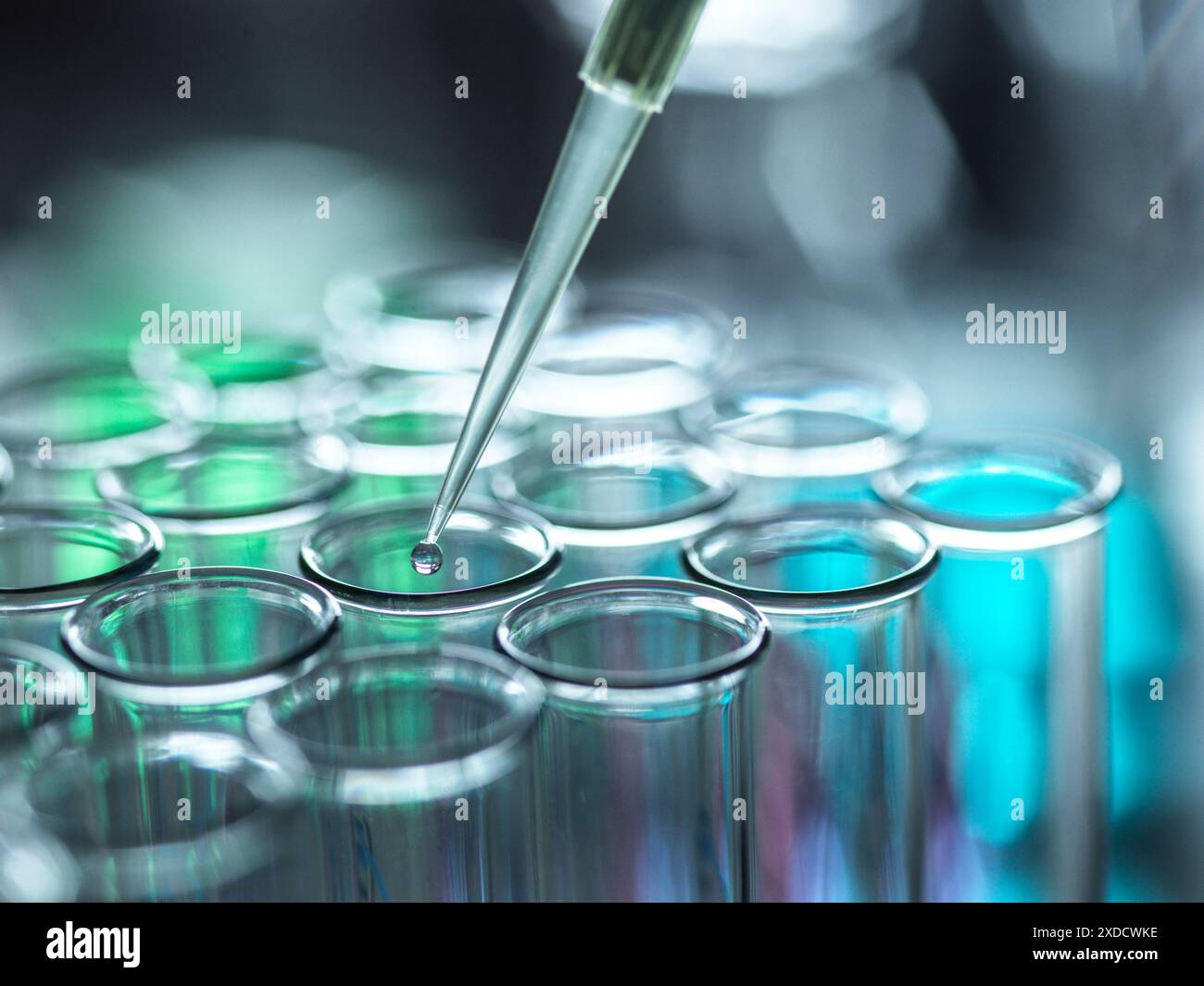 Scientist extracting samples using a pipette for analytical testing in the lab. Stock Photo