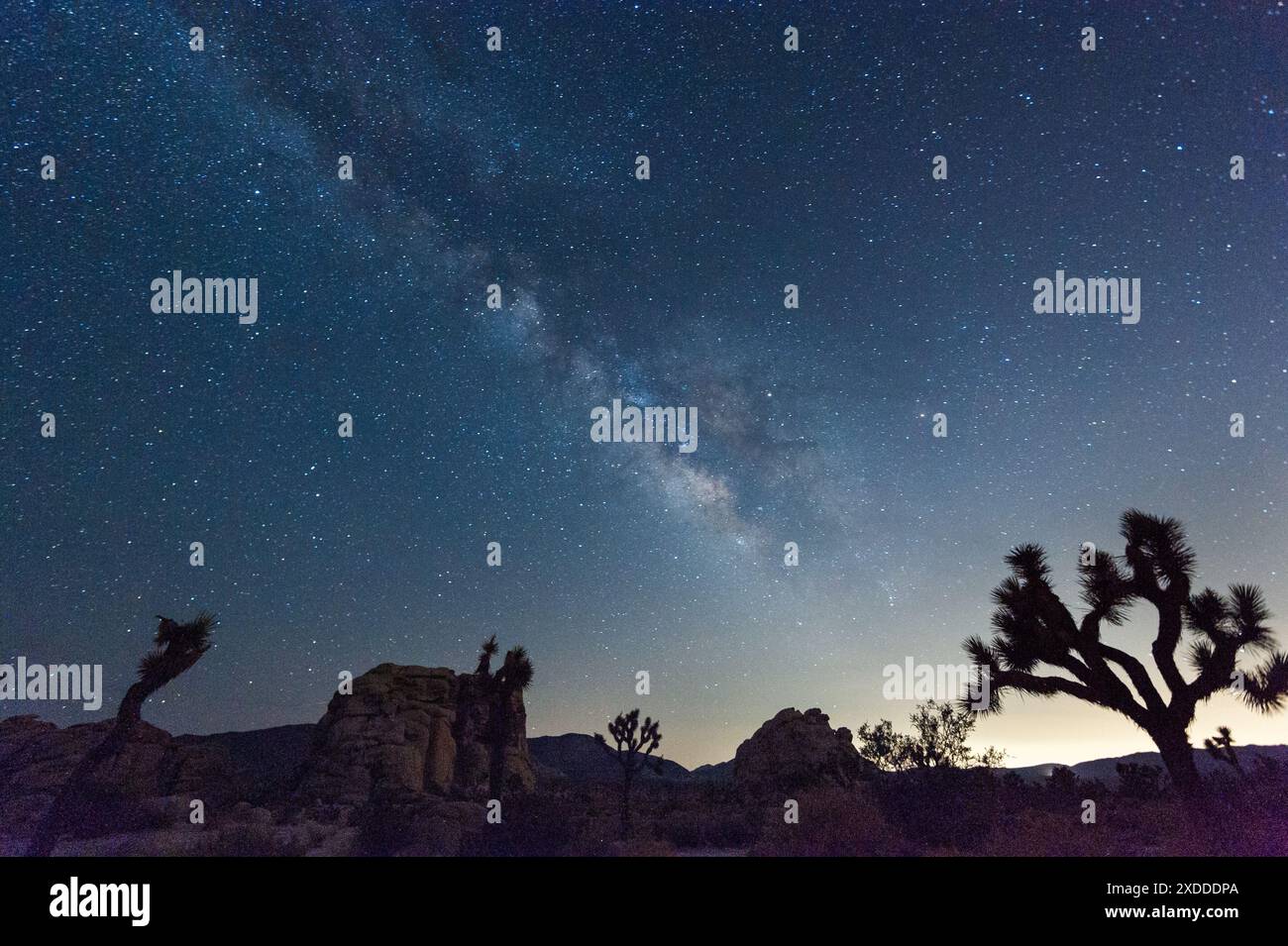 Impression of the night sky on a quiet summer evening in Joshua Tree ...