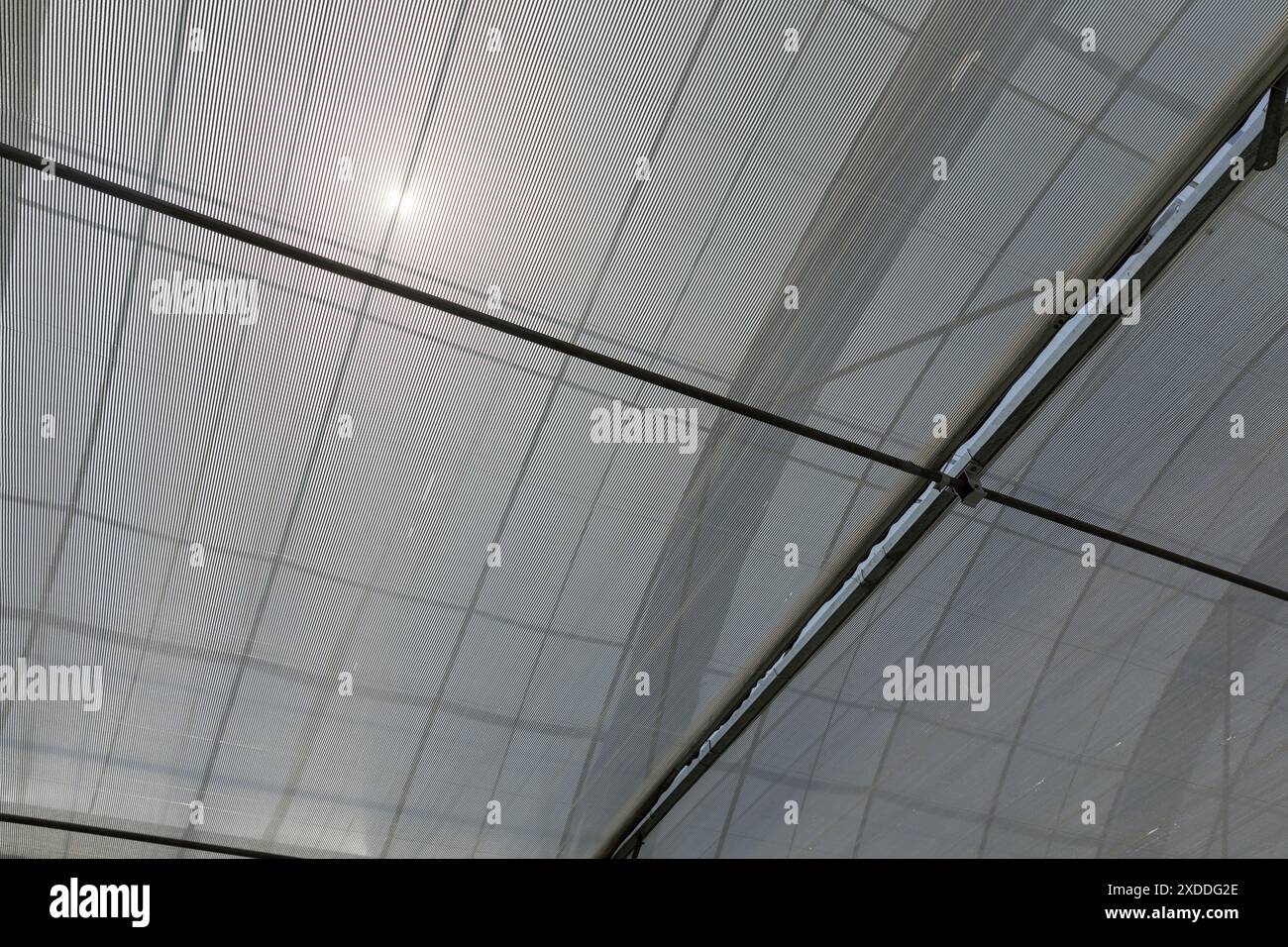 Greenhouse sun shade net hi-res stock photography and images - Alamy
