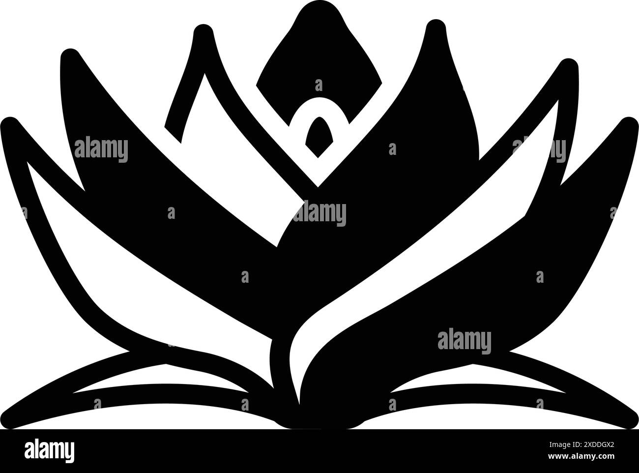 Pandanus flower Stock Vector Images - Alamy