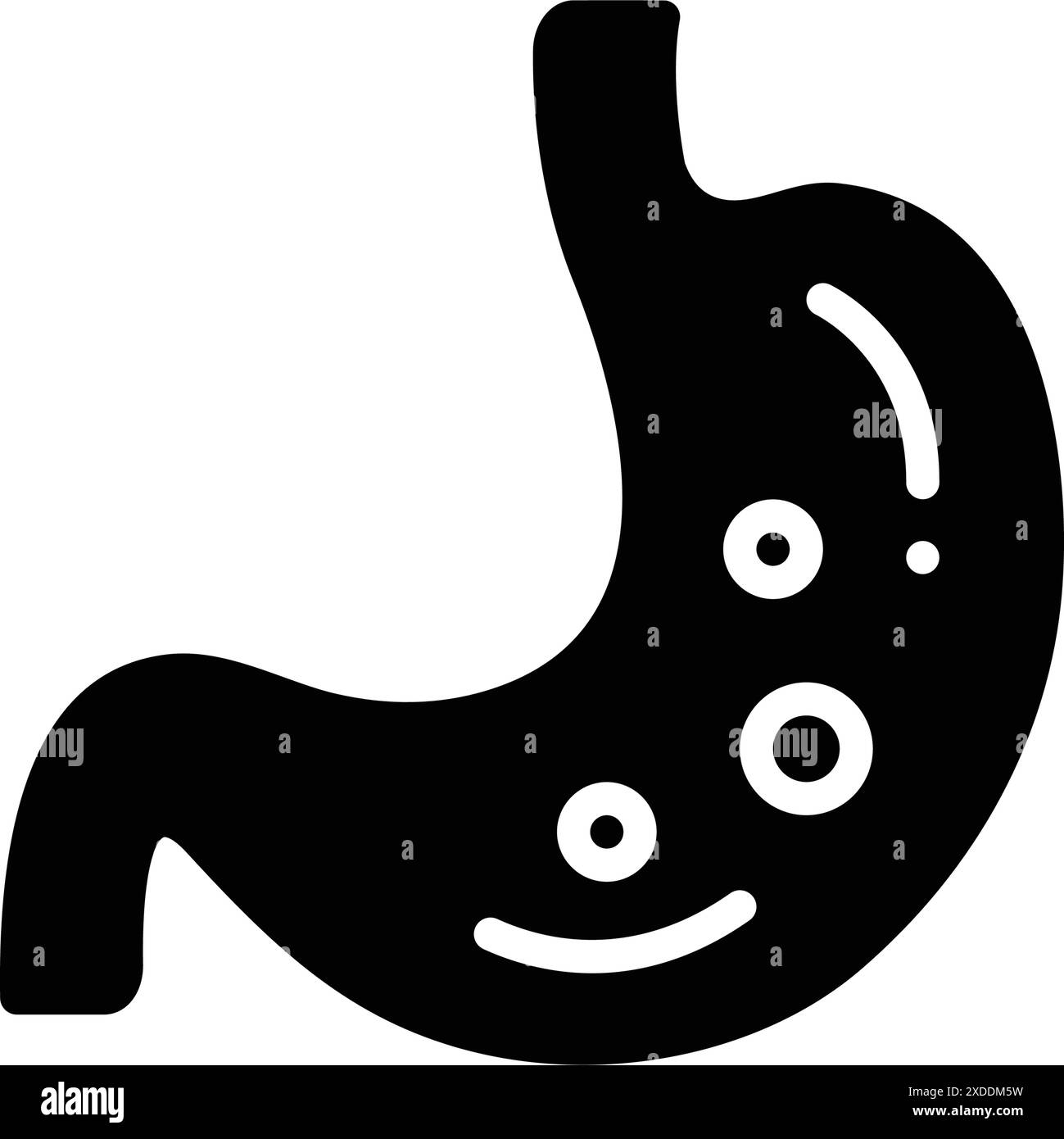 Gut anatomy Black and White Stock Photos & Images - Alamy