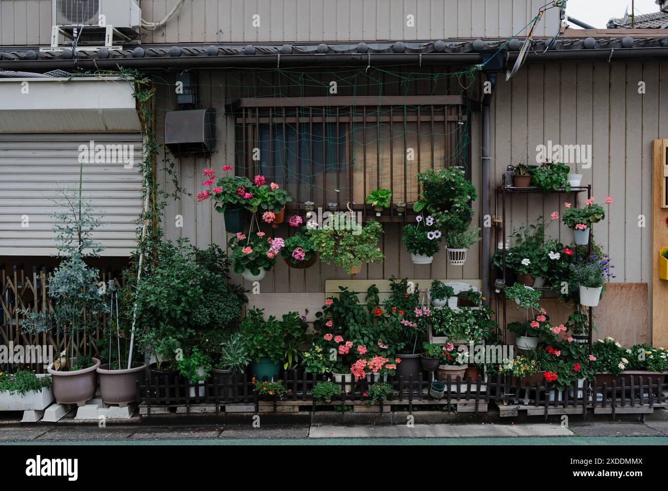 Diverse plants hi-res stock photography and images - Alamy