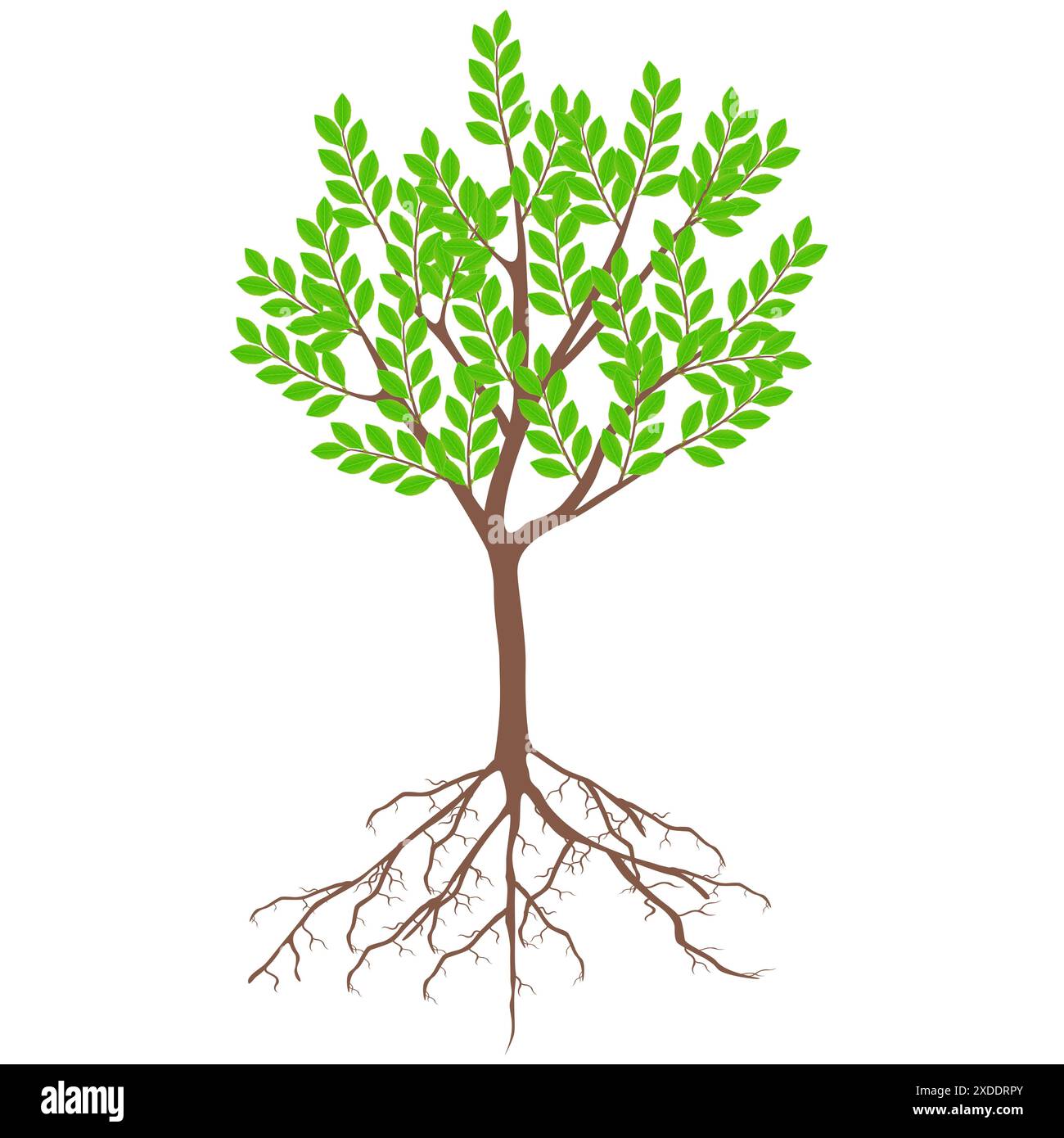 Tree of life with roots illustration hi-res stock photography and ...