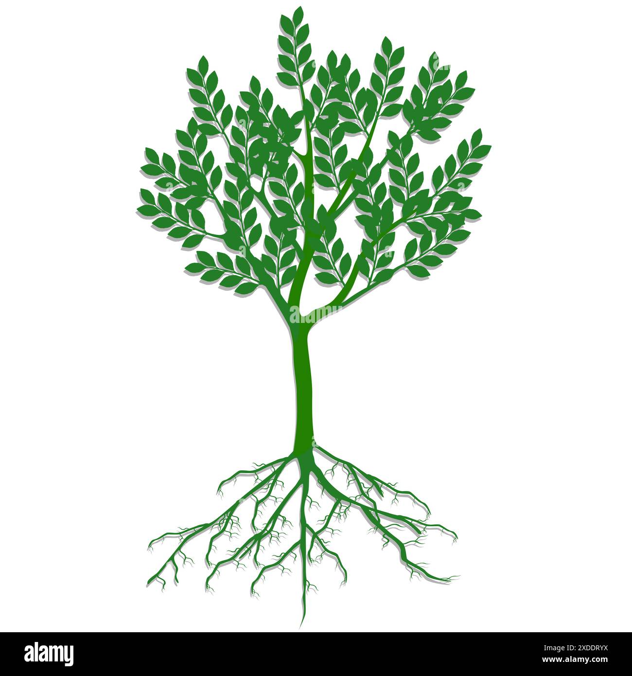 Tree of life with roots illustration hi-res stock photography and ...