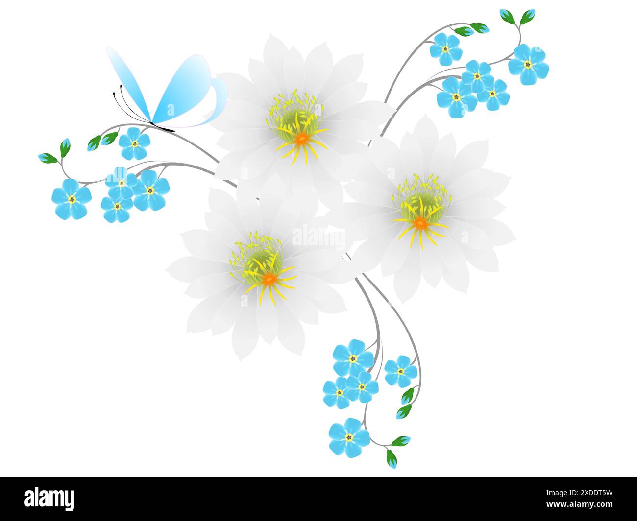 Background with a white and blue flowers and a butterfly Stock Vector ...