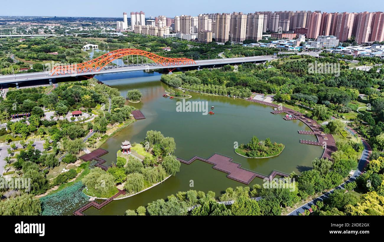 Fuping Looking Ahead