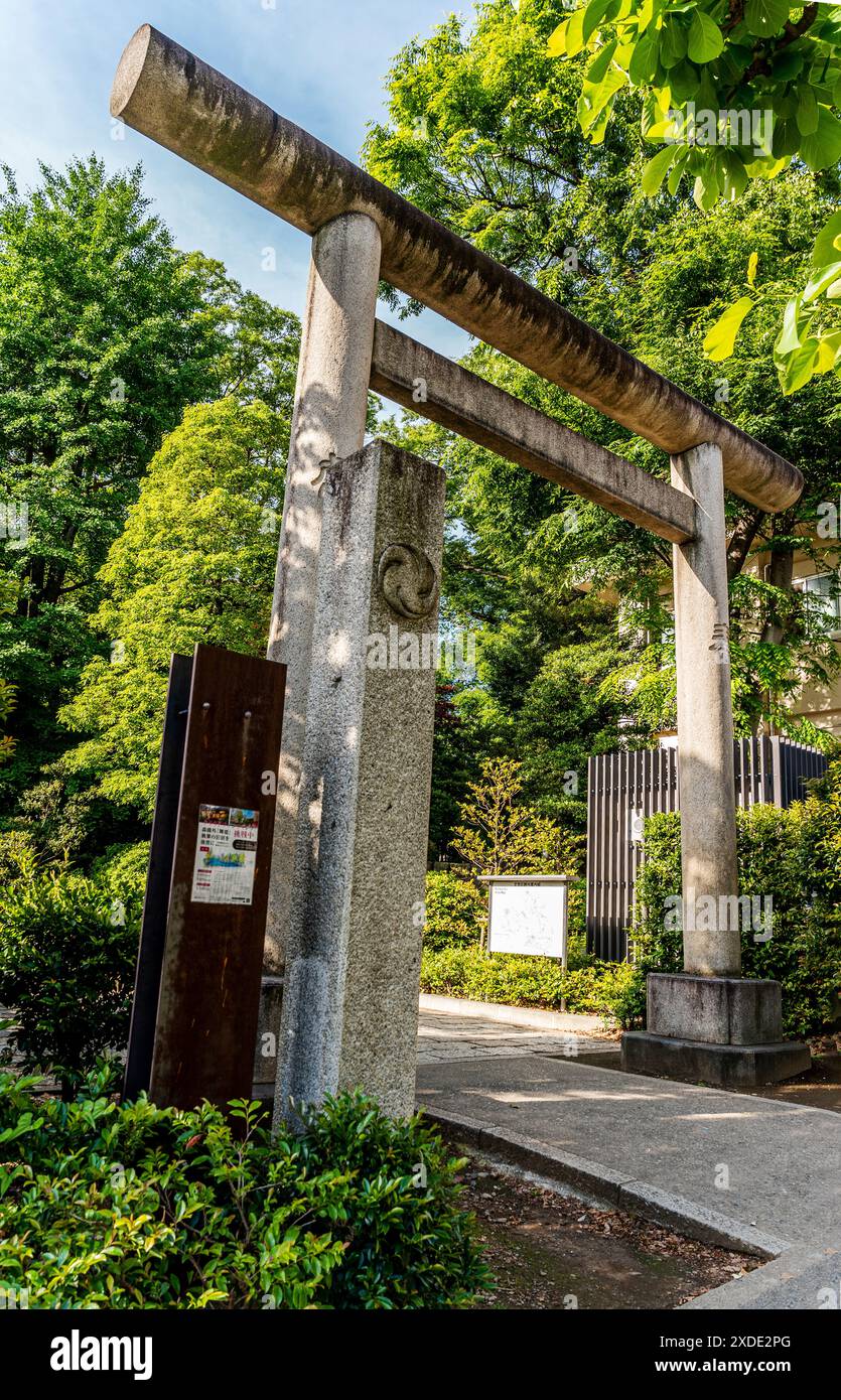 Stone entrance gate ('torii') of Nezu Jinja, a Shinto shrine established in Tokugawa era and located in the Bunkyō ward of Tokyo, Japan Stock Photo