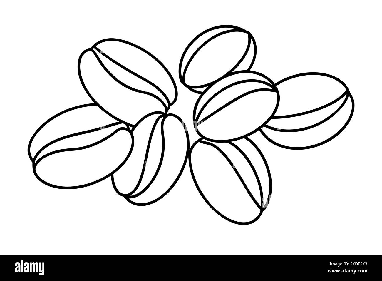 The coffee beans Vector Illustration and line art Stock Vector Image ...
