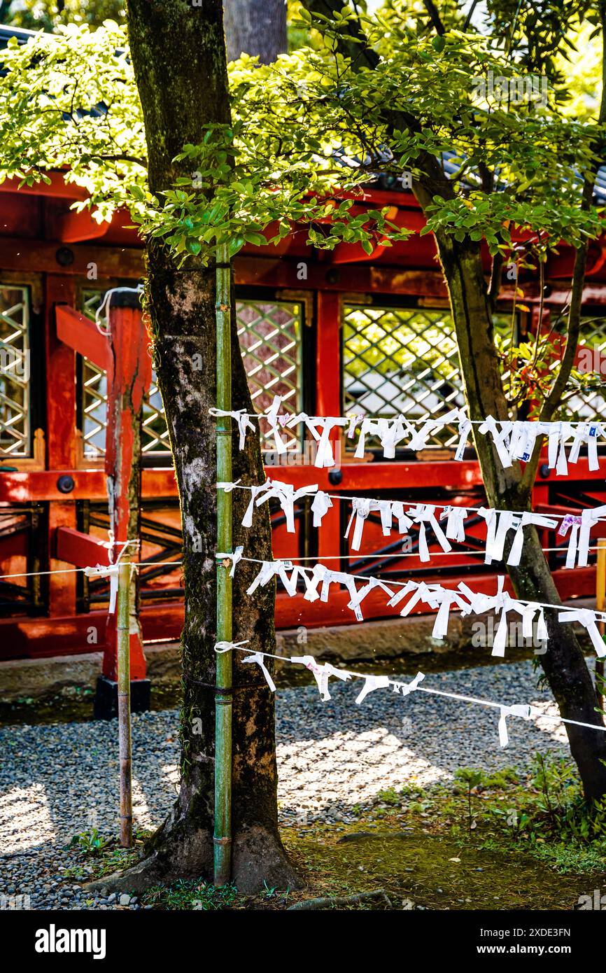 Tied fortune slip ('omijuki') in Nezu Jinja, a Shinto shrine established in Tokugawa era and located in the Bunkyō ward of Tokyo, Japan Stock Photo