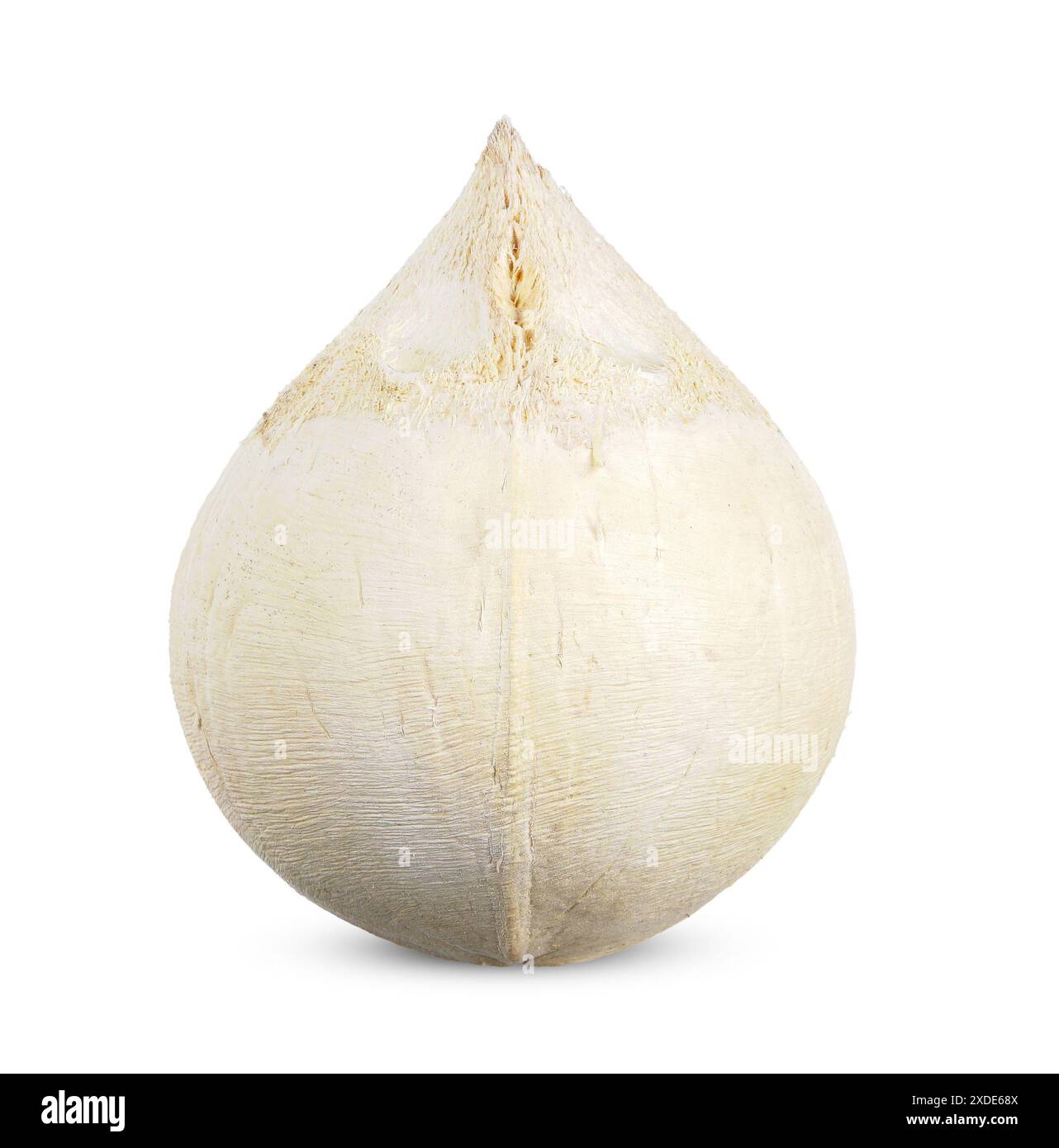 White coconut isolated on white background. coconut clipping path Stock Photo