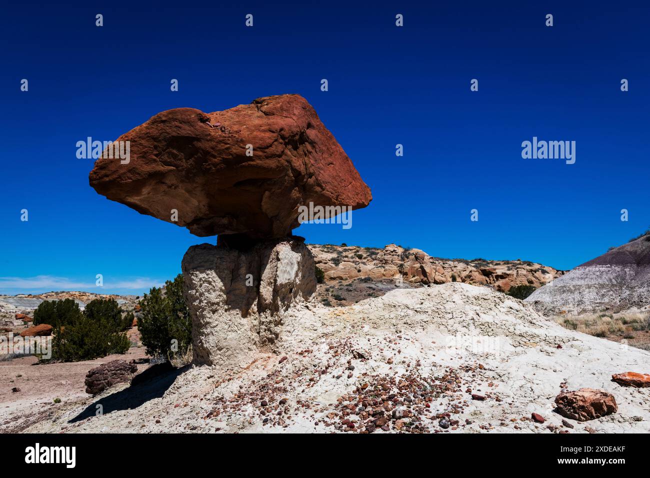 Alien egg hatchery bisti badlands hi-res stock photography and images ...