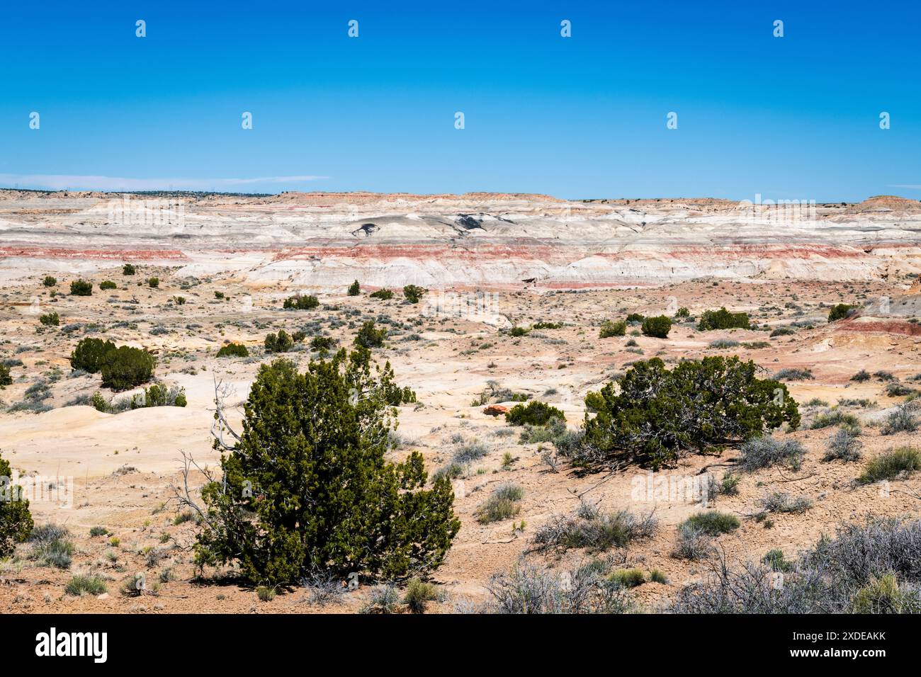 Alien egg hatchery bisti badlands hi-res stock photography and images ...