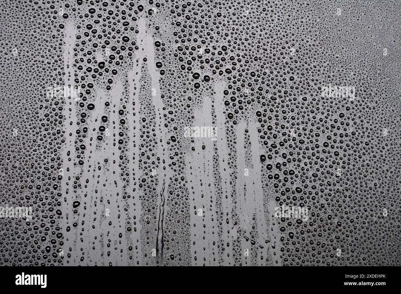 Bottom side view of water droplets suitable for design or wallpaper ...