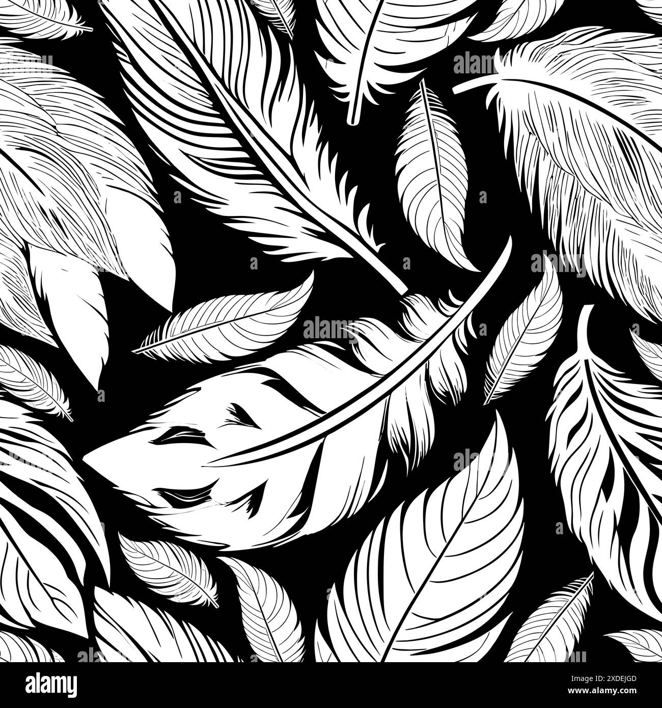 Feathers background abstract Black and White Stock Photos \u0026 Images - Page 3  - Alamy, image size:1300x1390
