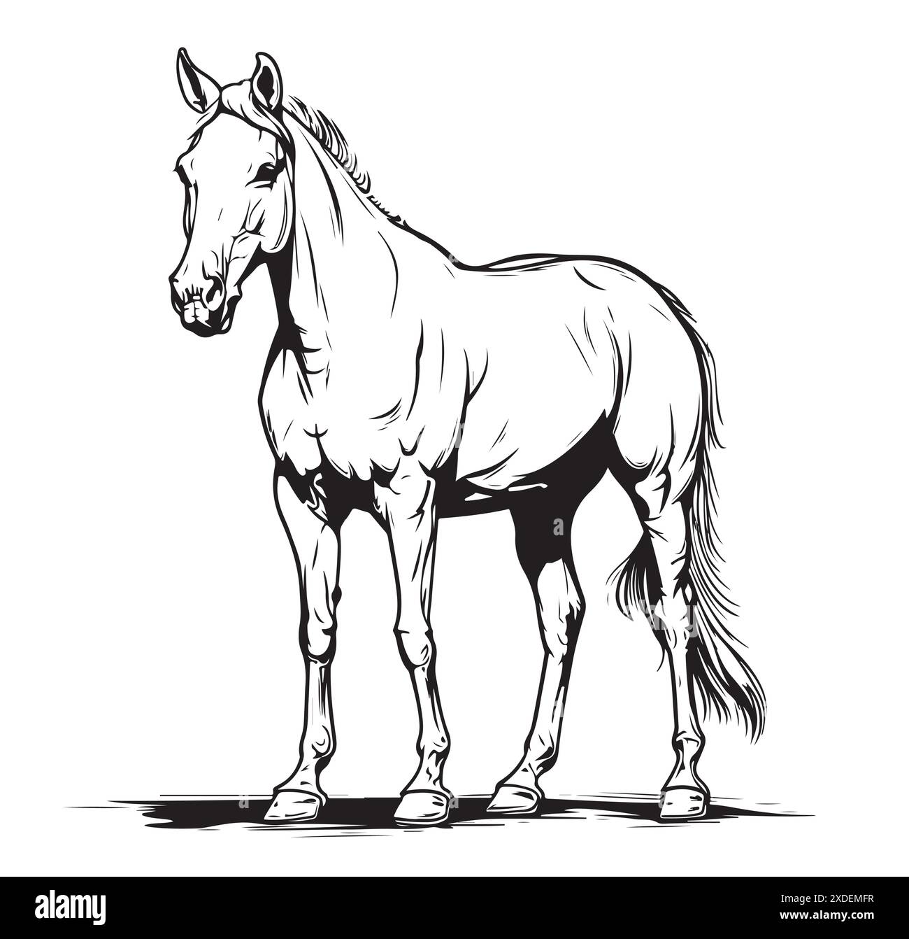 Horse hand drawn sketch. Standing horse black graphic sketch isolated ...