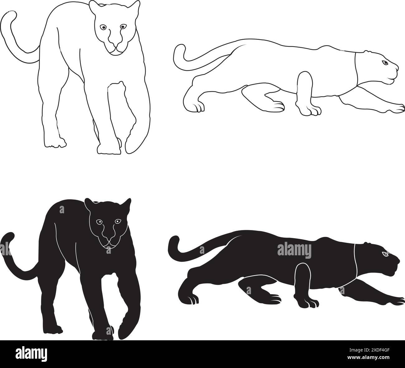 シムシメール　希少　White panther No.2 White panther Stock Vector Images - Alamy