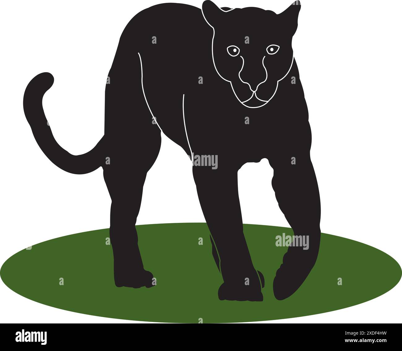 White panther Stock Vector Images - Alamy